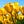 Go to the profile of busin`ka