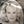 Go to the profile of Patricia Kelly-Banks