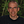Go to the profile of Bill McKibben