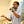Go to the profile of Wasin Thonkaew