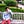 Go to the profile of Max Scheidhauer