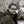 Go to the profile of Fabók Dávid