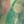 Go to the profile of Kira Shalyshkina