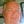 Go to the profile of David Cearley