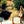 Go to the profile of Gitanjali Bhattacharjee