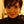 Go to the profile of Su Carvalho