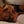 Go to the profile of Sam Piller