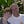 Go to the profile of Jay Gardner