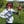 Go to the profile of Laura Cress