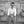 Go to the profile of Miguel Vieira