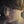 Go to the profile of Lexane