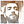 Go to the profile of Ivan Neto