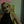 Go to the profile of Rachel Allen