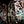 Go to the profile of 3G