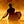 Go to the profile of noavas