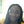 Go to the profile of RaBora