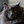 Go to the profile of NERO