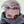 Go to the profile of Carolynne Alexander