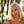 Go to the profile of Terri Pouliot