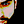 Go to the profile of Danilo Campos