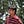 Go to the profile of Nitin Dangwal