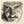 Go to the profile of Vicente F. Hurtado