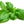 Go to the profile of Basil T. Lemon
