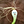 Go to the profile of The LEEK