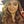 Go to the profile of Sadies Céng