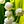Go to the profile of harukalily