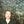 Go to the profile of Onno Faber