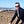 Go to the profile of Matthew Harrison