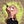Go to the profile of Aurora Hansen
