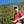 Go to the profile of Adam Davis