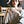 Go to the profile of Anlliny Zhao
