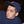 Go to the profile of Alan Schultz