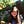 Go to the profile of Jennifer Dai