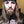 Go to the profile of H. H Excellency: Jesus