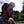 Go to the profile of Seb van Zijl