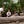 Go to the profile of Peter Nelson