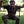 Go to the profile of ChrisTopher Polack