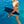 Go to the profile of Suzanne van der Veeken