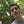 Go to the profile of Shane Dougherty