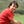 Go to the profile of Héctor Carrer