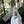Go to the profile of Shylla É. Pramadhani