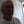 Go to the profile of Bob DeLoyd