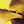 Go to the profile of André Cavon