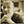 Go to the profile of J.N. PAQUET™