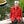 Go to the profile of Maria Klawe