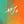 Go to the profile of MJo